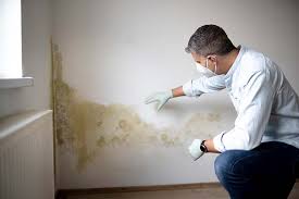 Best Attic Mold Removal  in Santa Rosa Valley, CA